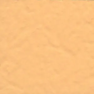Solvent Free Wall Paint - Premium Tint