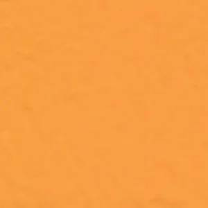 Solvent Free Wall Paint - Premium Tint