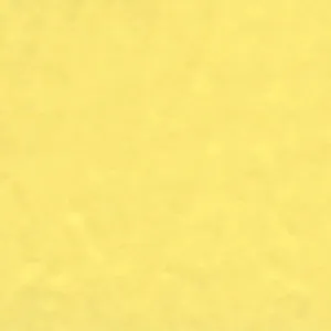 Solvent Free Wall Paint - Premium Tint