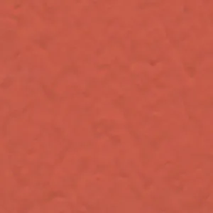 Solvent Free Wall Paint - Premium Tint