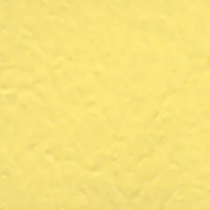 Solvent Free Wall Paint - Premium Tint