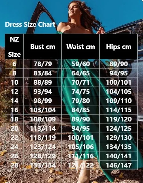 Tari knee length regular and plus size long sleeve chiffon dress