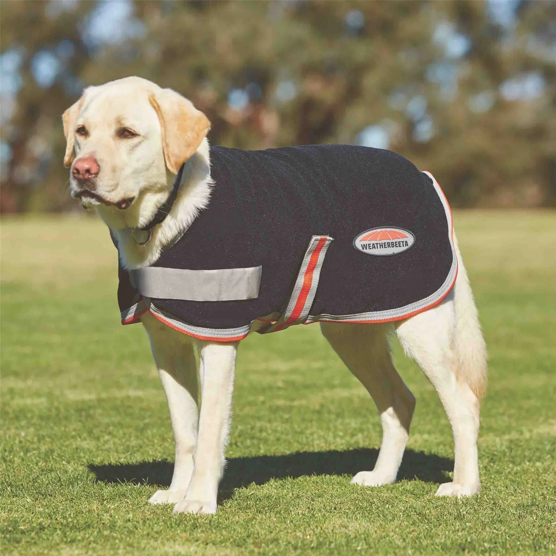 Weatherbeeta Comfitec Therapy-Tec Fleece Dog Coat